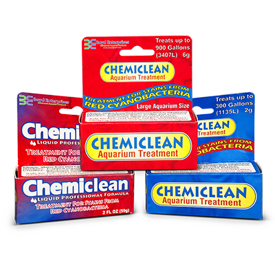 Boyd ChemiClean Cyanobacteria Remover