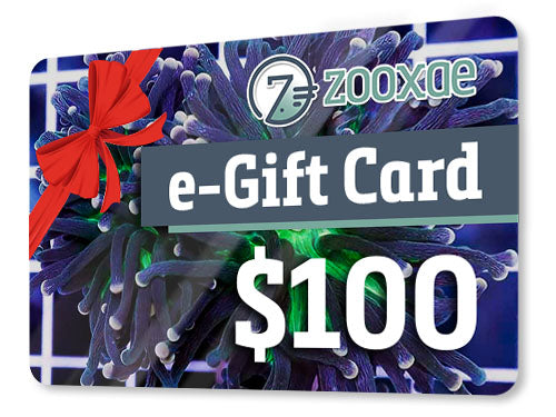 Zooxae.com Electronic Gift Card