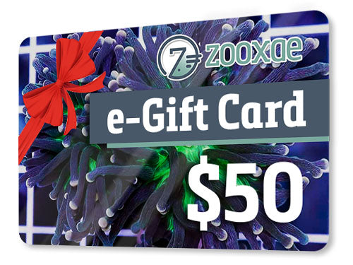 Zooxae.com Electronic Gift Card