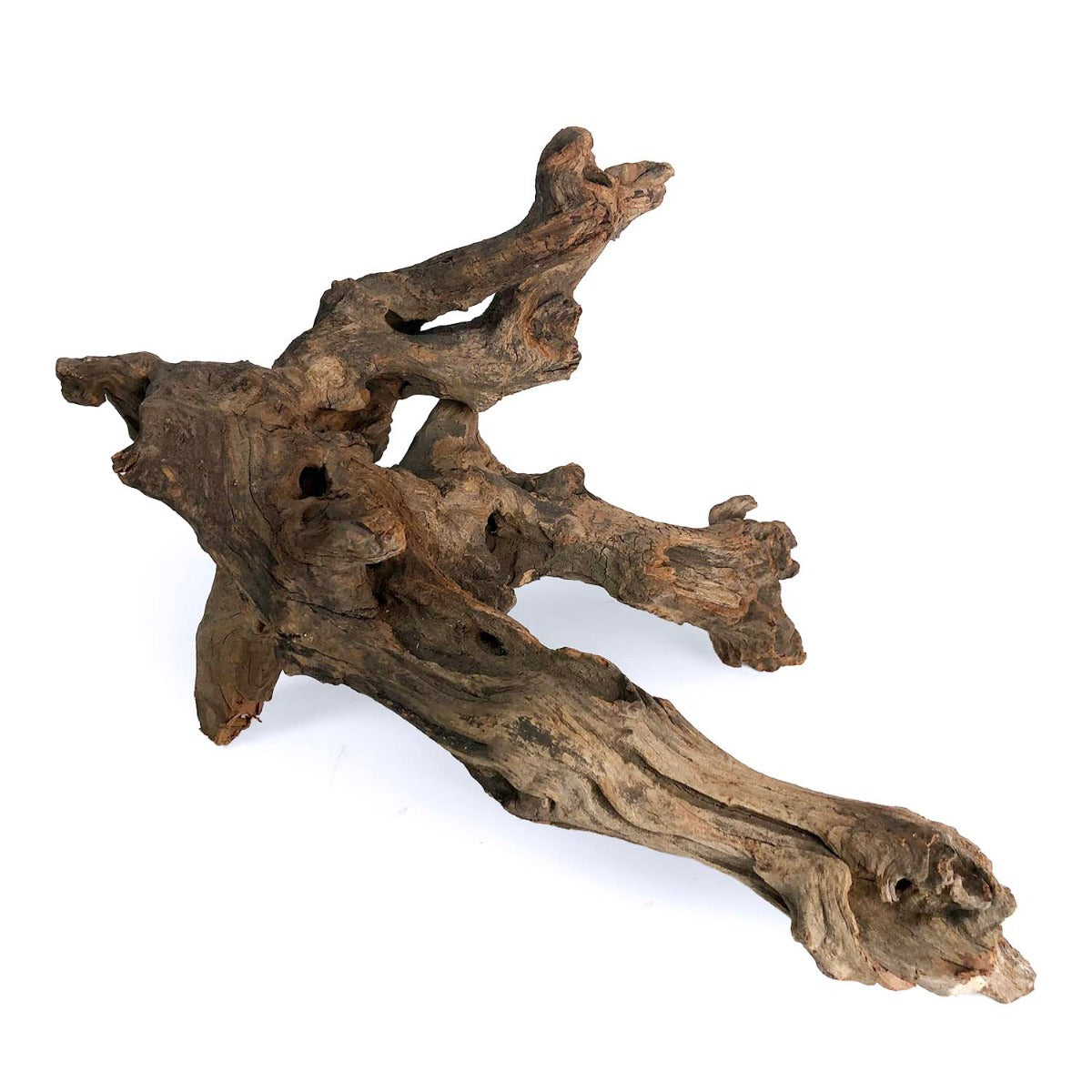 SR Aquaristik Weathered Driftwood