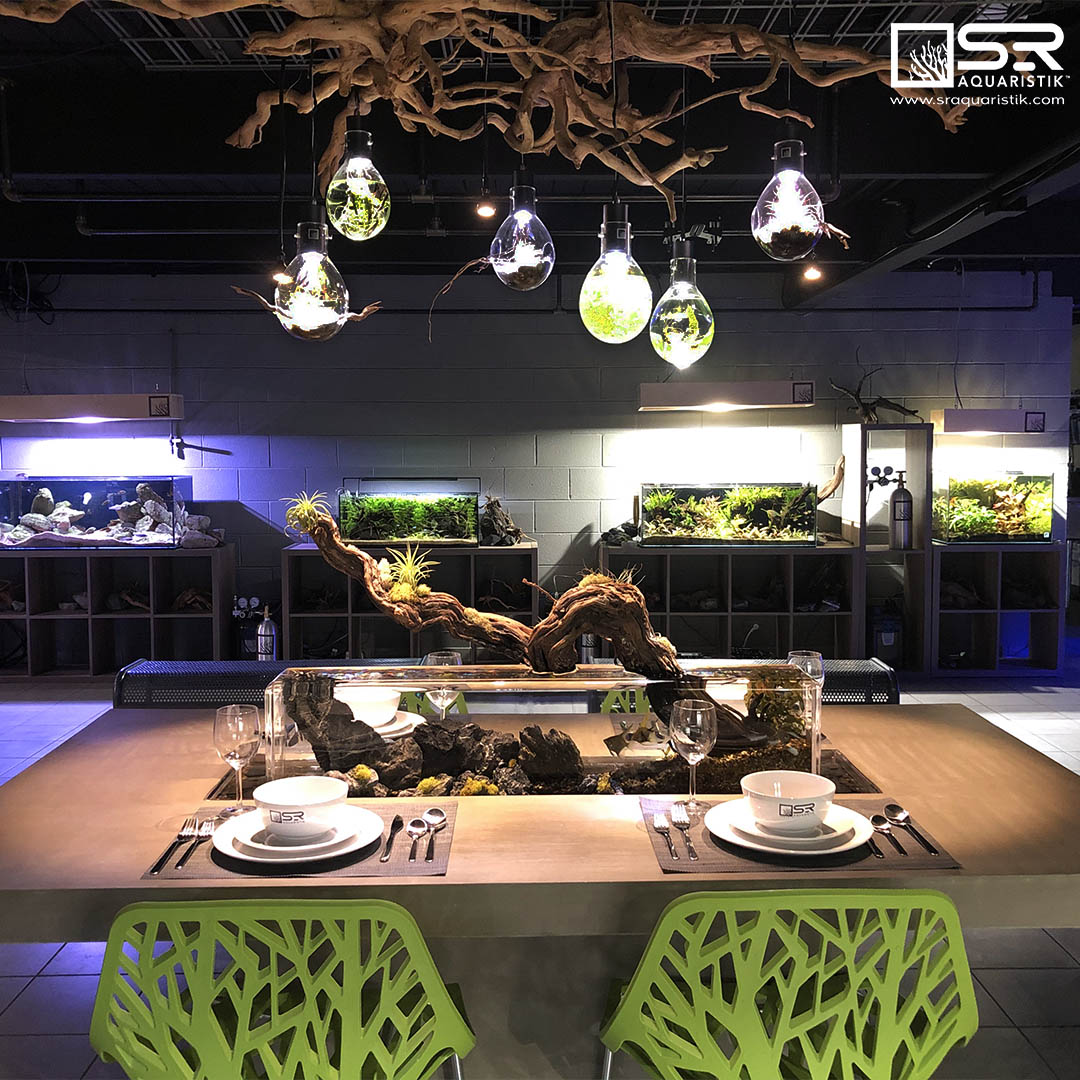 SR Aquaristik Dining Room Aquarium Table