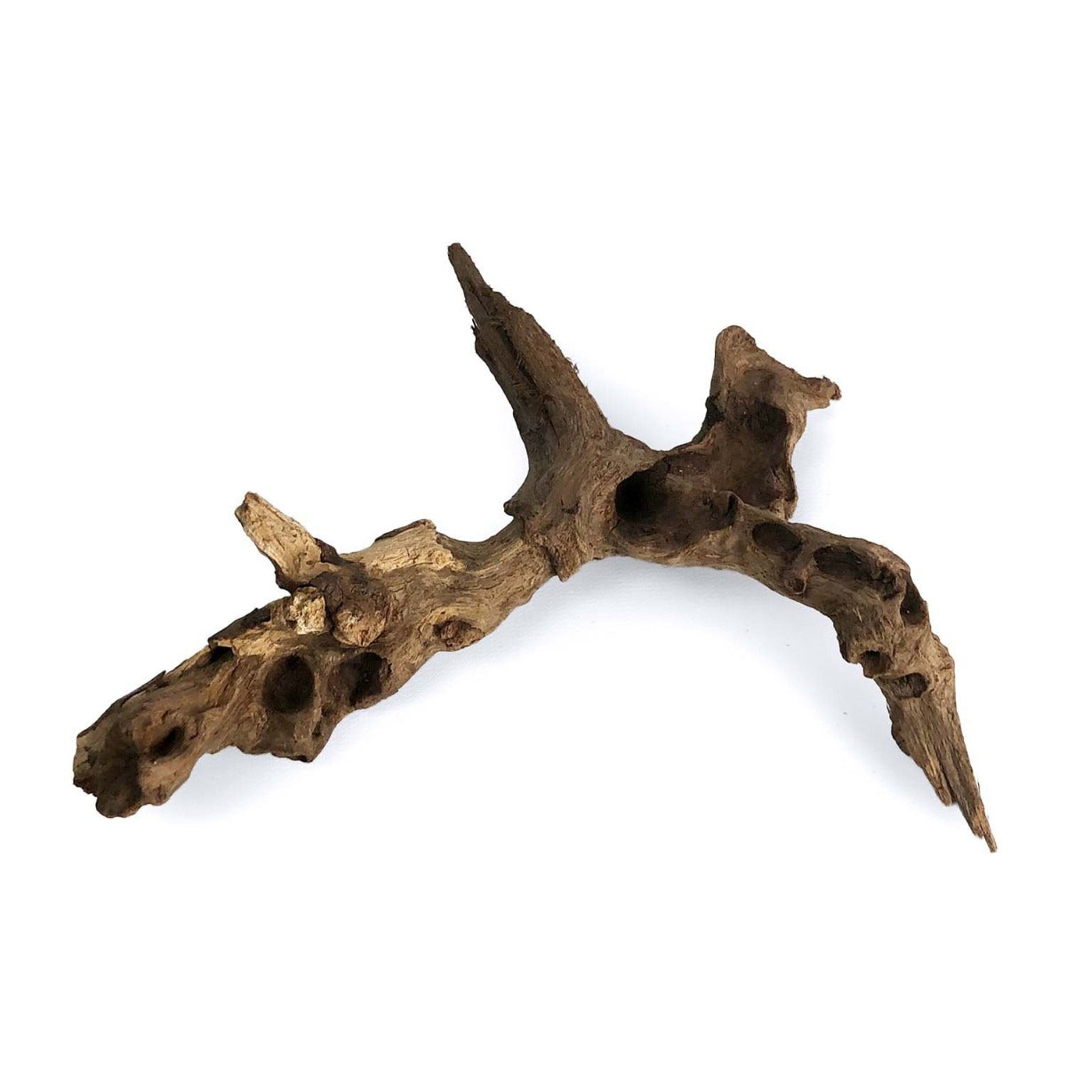 SR Aquaristik Weathered Driftwood