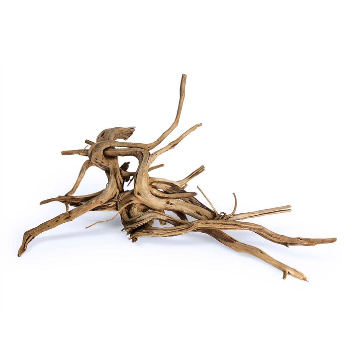 large pine spider wood