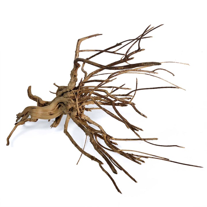 pine spider wood decor