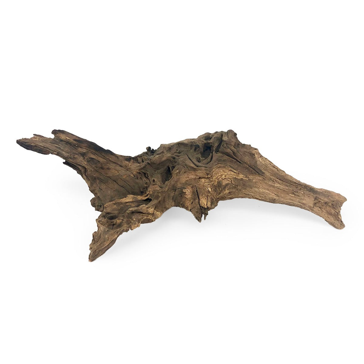 SR Aquaristik Weathered Driftwood