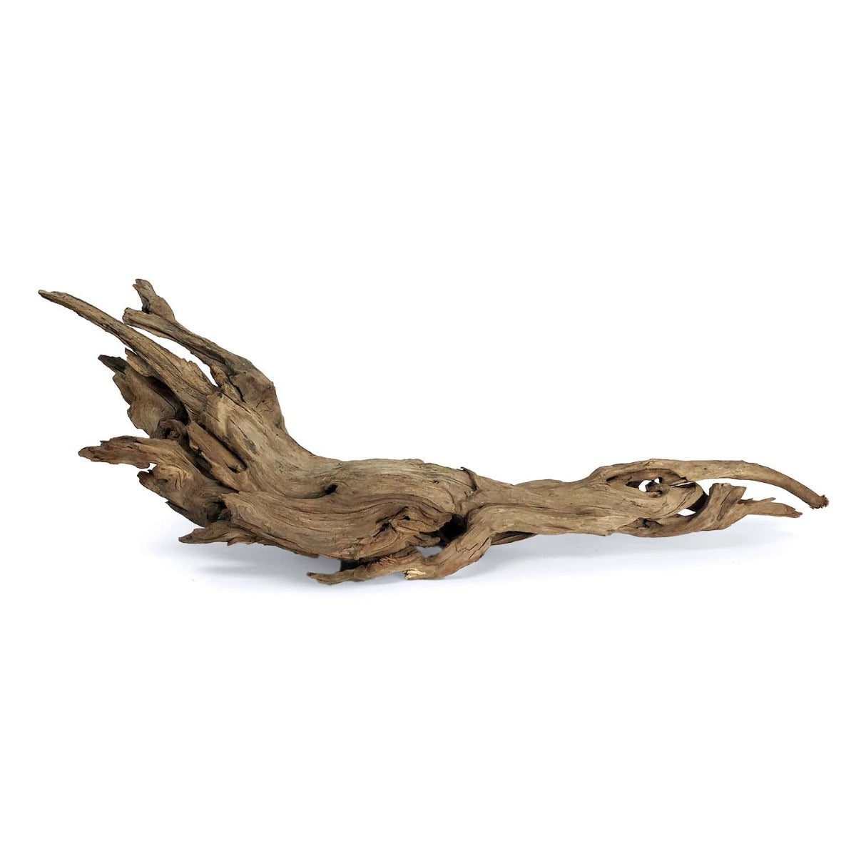 SR Aquaristik Weathered Driftwood