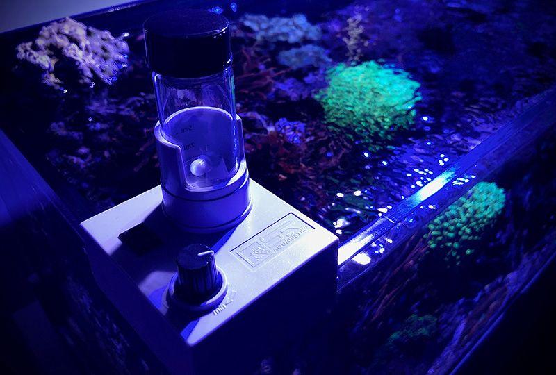 A guide for freshwater aquarium water testing