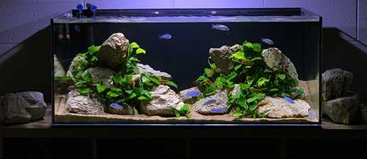 Create an Attractive and Relaxing Waiting Room with Aquarium
