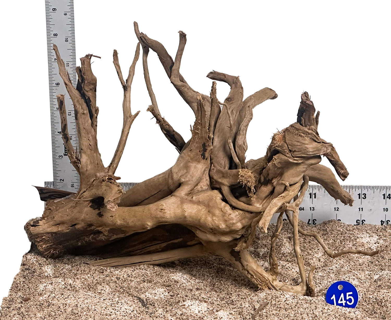 WYSIWYG 145BU - 260801 - Black Spider Wood (Medium)