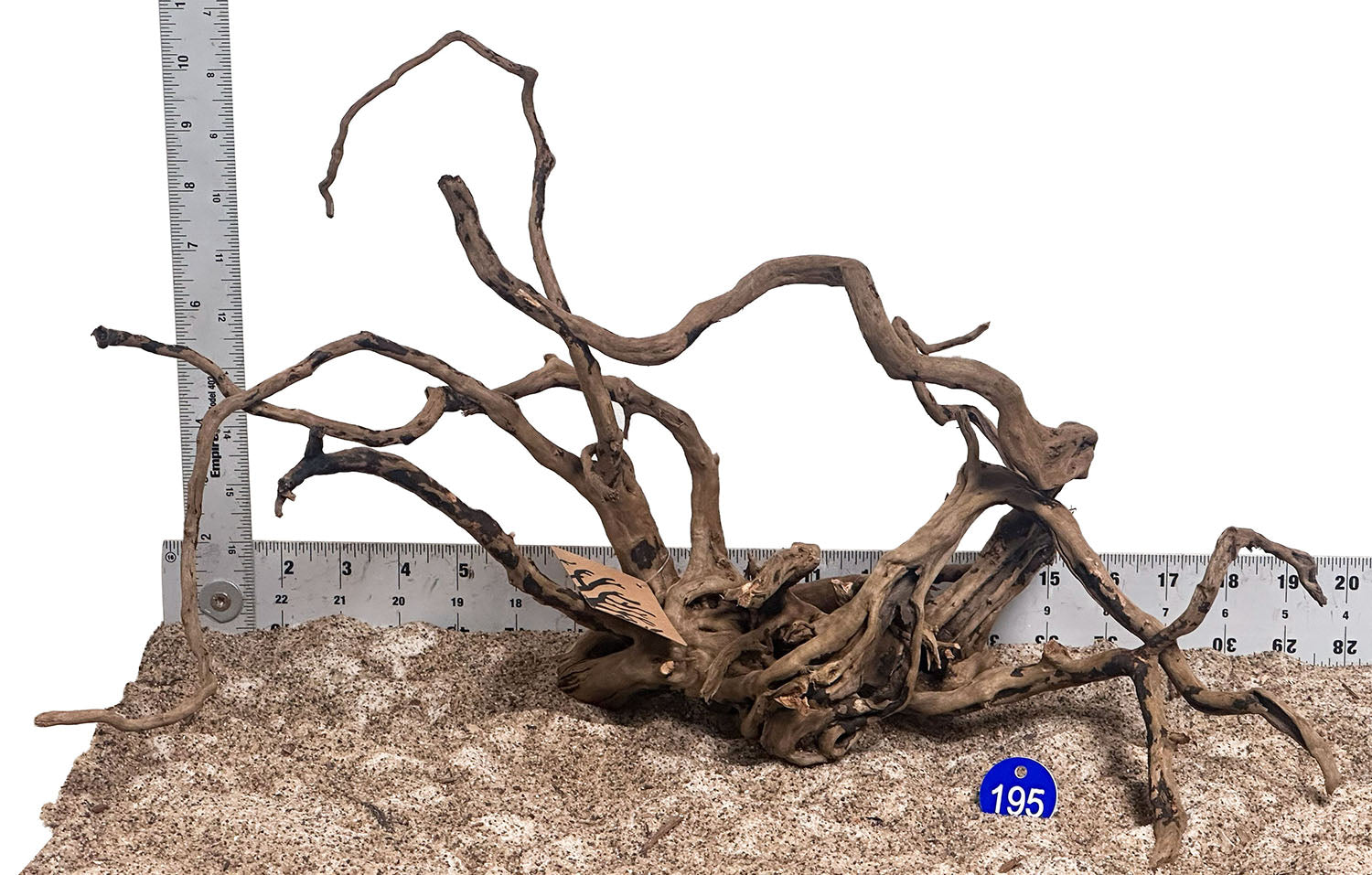 WYSIWYG 195BU - 260801 - Black Spider Wood (Medium)
