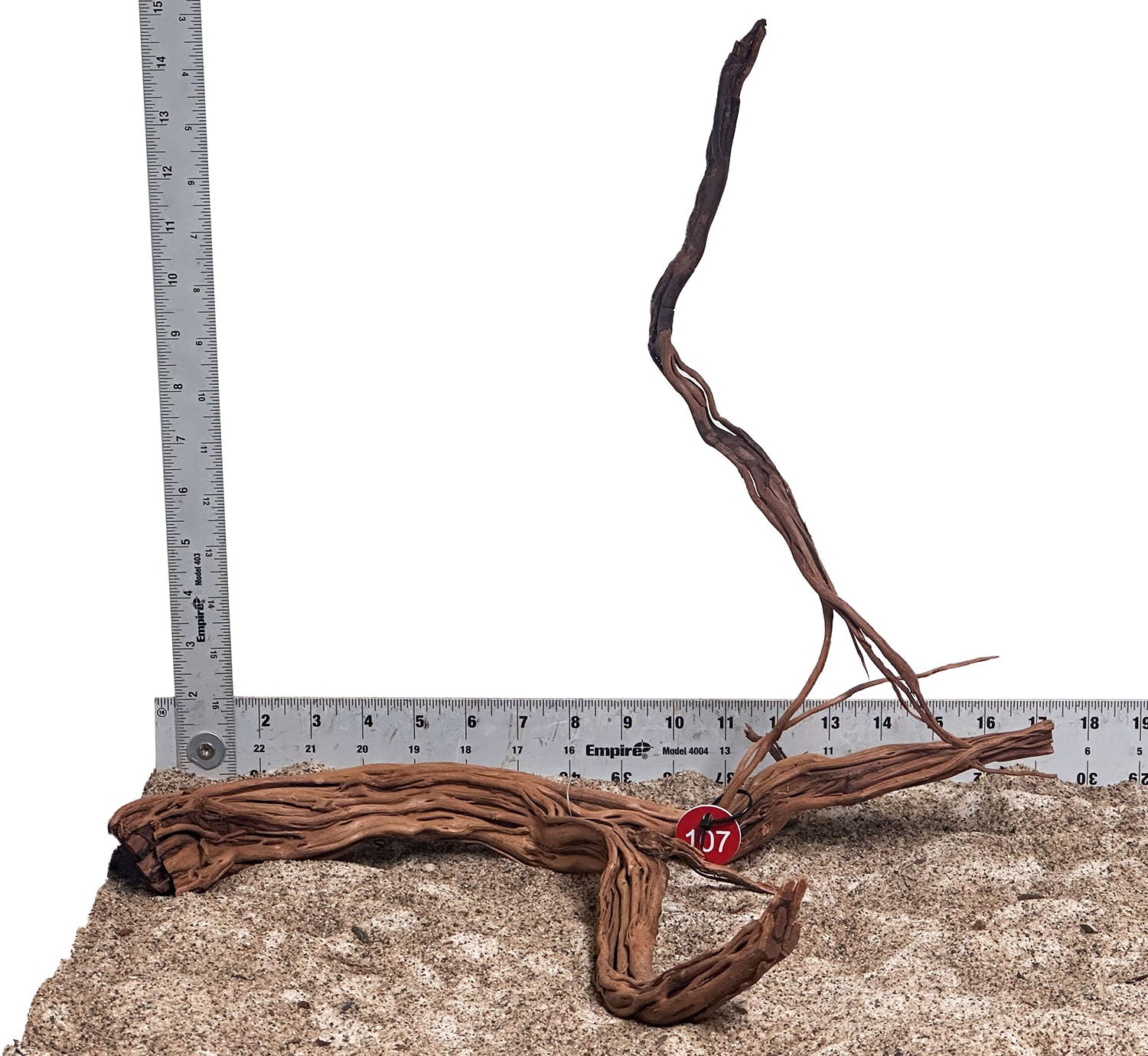WYSIWYG 107RD - 260801 - Dragon Wood (Medium)