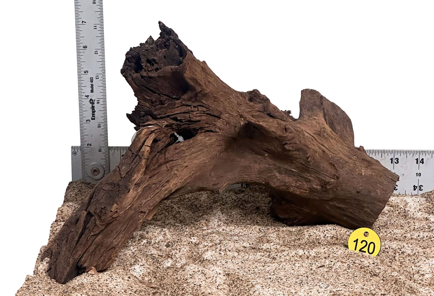 WYSIWYG 120Y - 260801 - Malaysian Mangrove Wood (Medium)