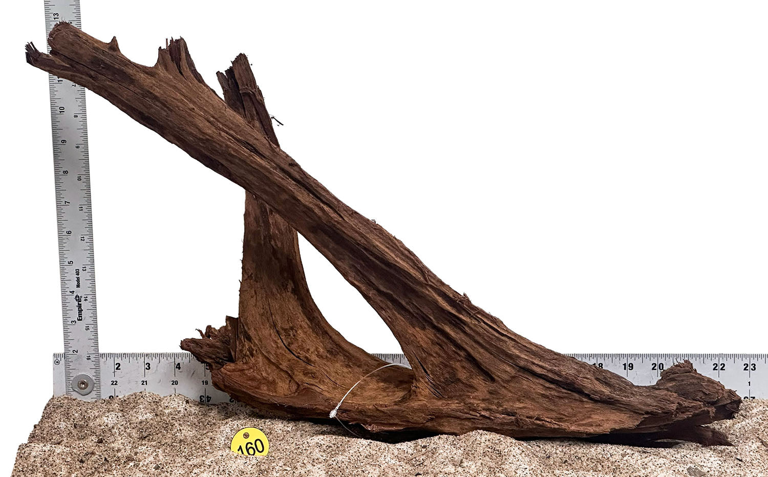 WYSIWYG 160Y - 260801 - Malaysian Mangrove Wood (XL)