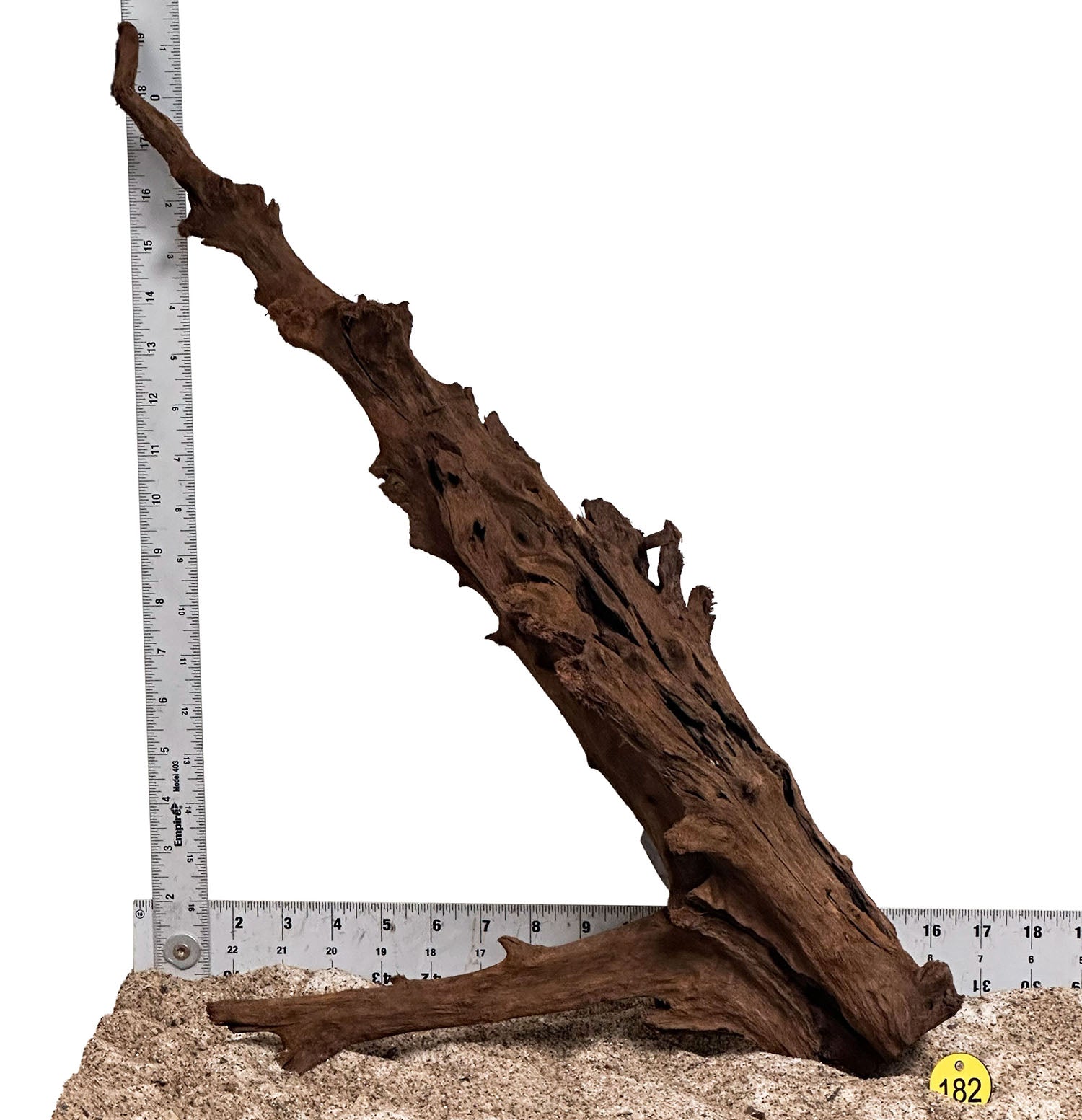 WYSIWYG 182Y - 260801 - Malaysian Mangrove Wood (XL)