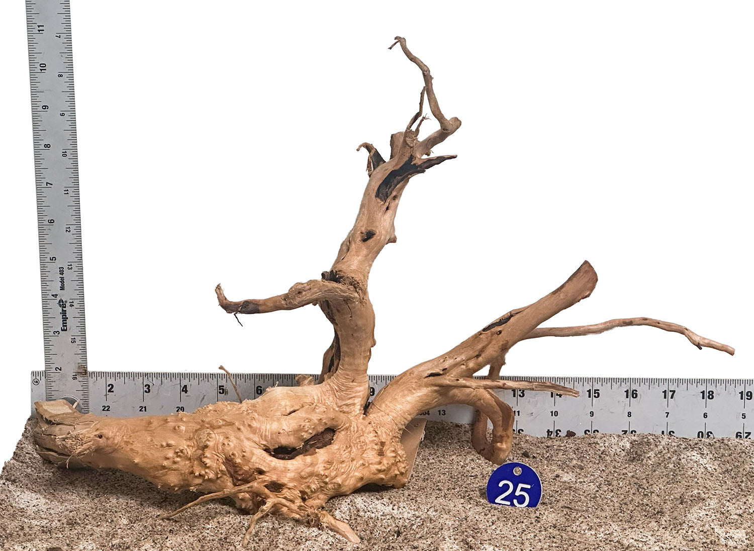 WYSIWYG 25BU - 260801 - Spider Wood (Medium)