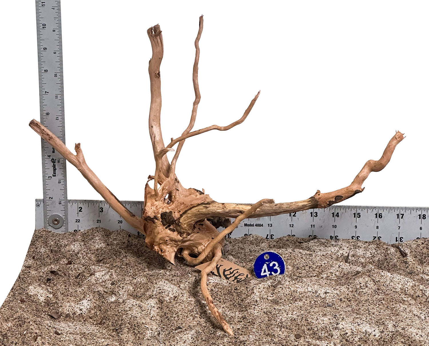 WYSIWYG 43BU - 260801 - Spider Wood (Medium)