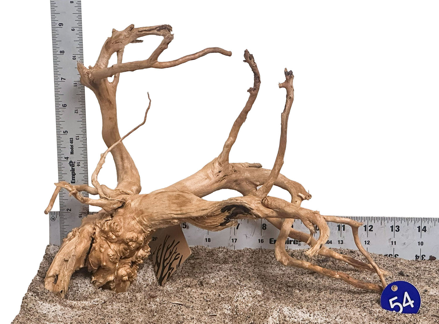 WYSIWYG 54BU - 260801 - Spider Wood (Medium)
