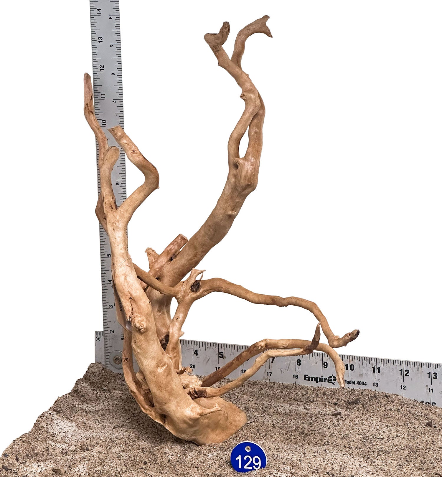 WYSIWYG 129BU - 260801 - Spider Wood (Medium)
