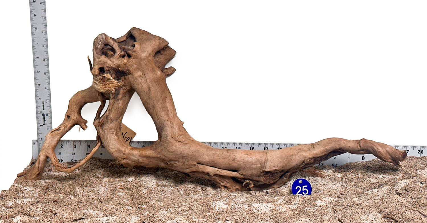 WYSIWYG 25BU - 260218 - Black Spider Wood (Large)