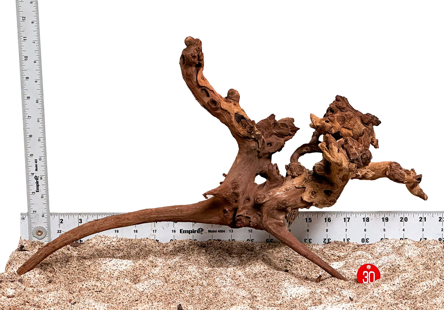 WYSIWYG 30RD - 260218 - Gnarly Wood (Large)