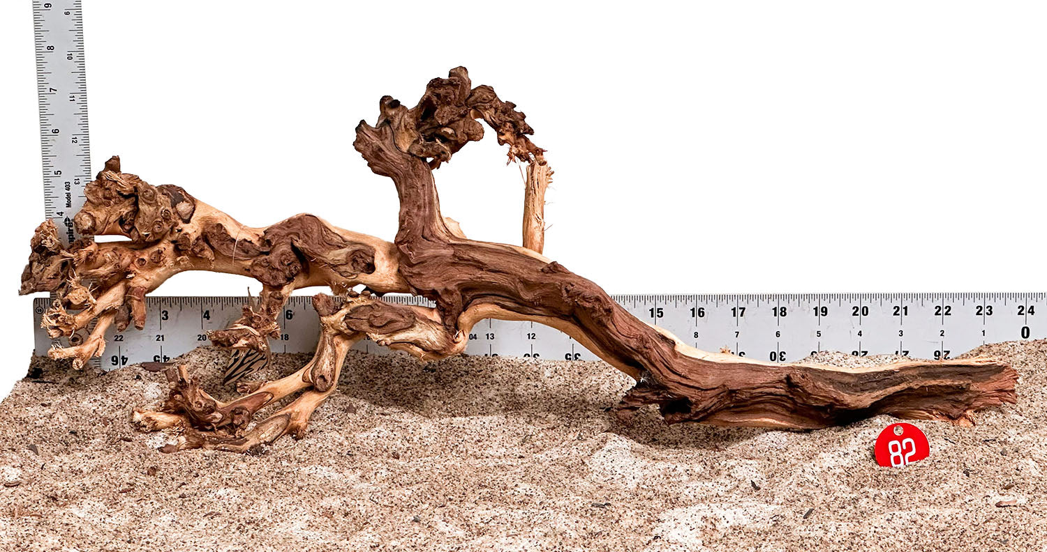 WYSIWYG 82RD - 260218 - Gnarly Wood (XL)