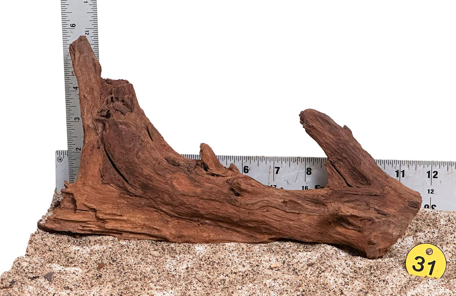 WYSIWYG 31Y - 260218 - Malaysian Mangrove Wood (Small)