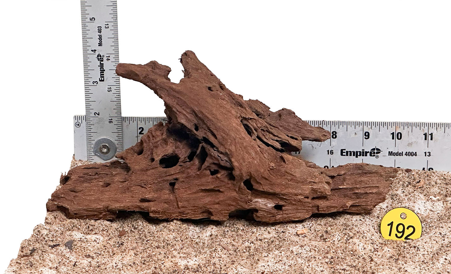 WYSIWYG 192Y - 260218 - Malaysian Mangrove Wood (Small)