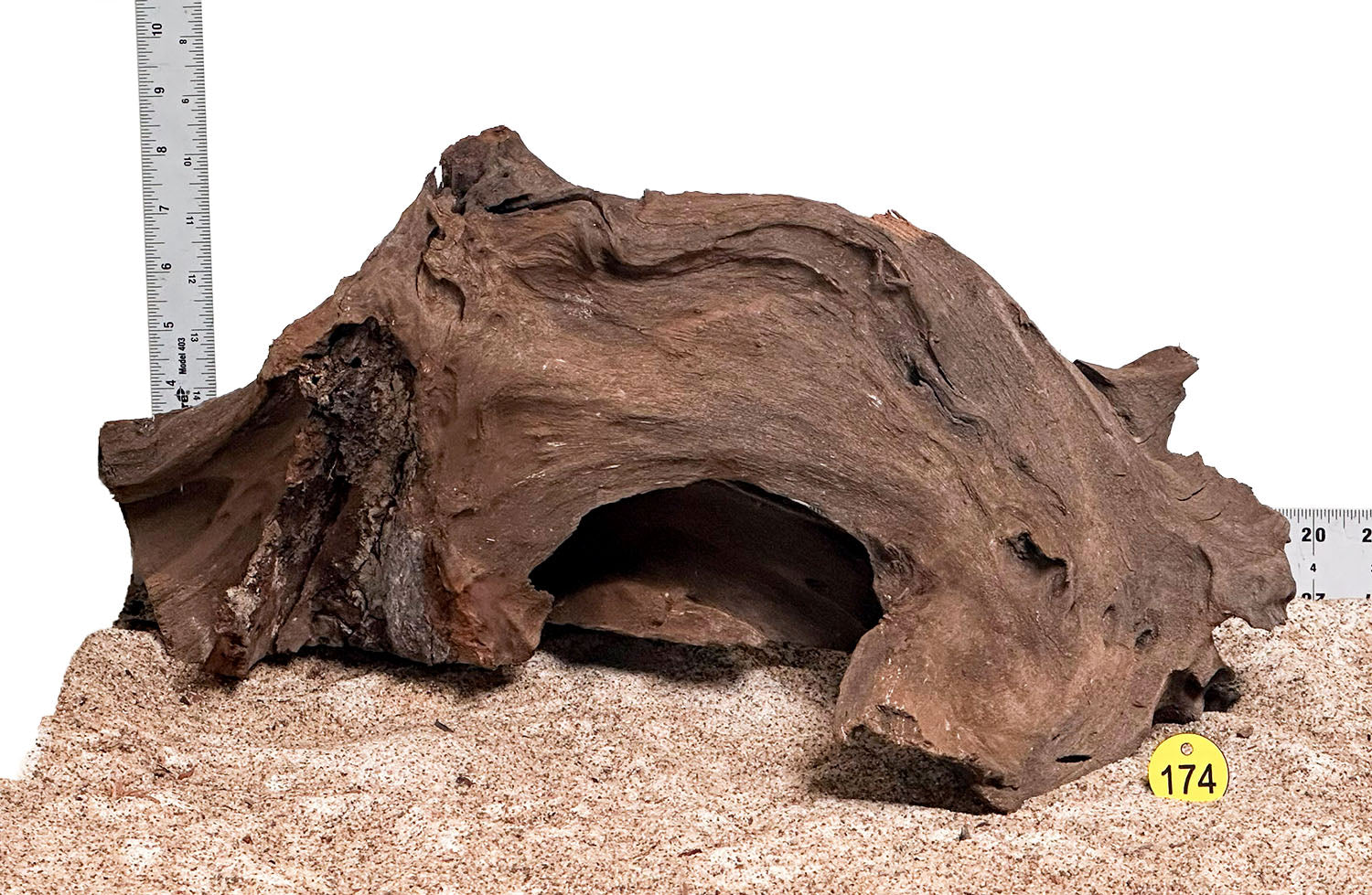 WYSIWYG 174Y - 260218 - Malaysian Mangrove Wood (Large)