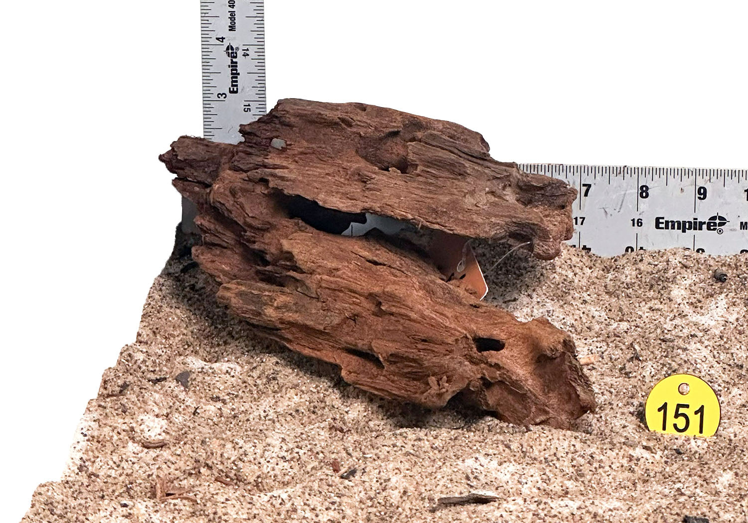 WYSIWYG 151Y - 260218 - Malaysian Mangrove Wood (Small)