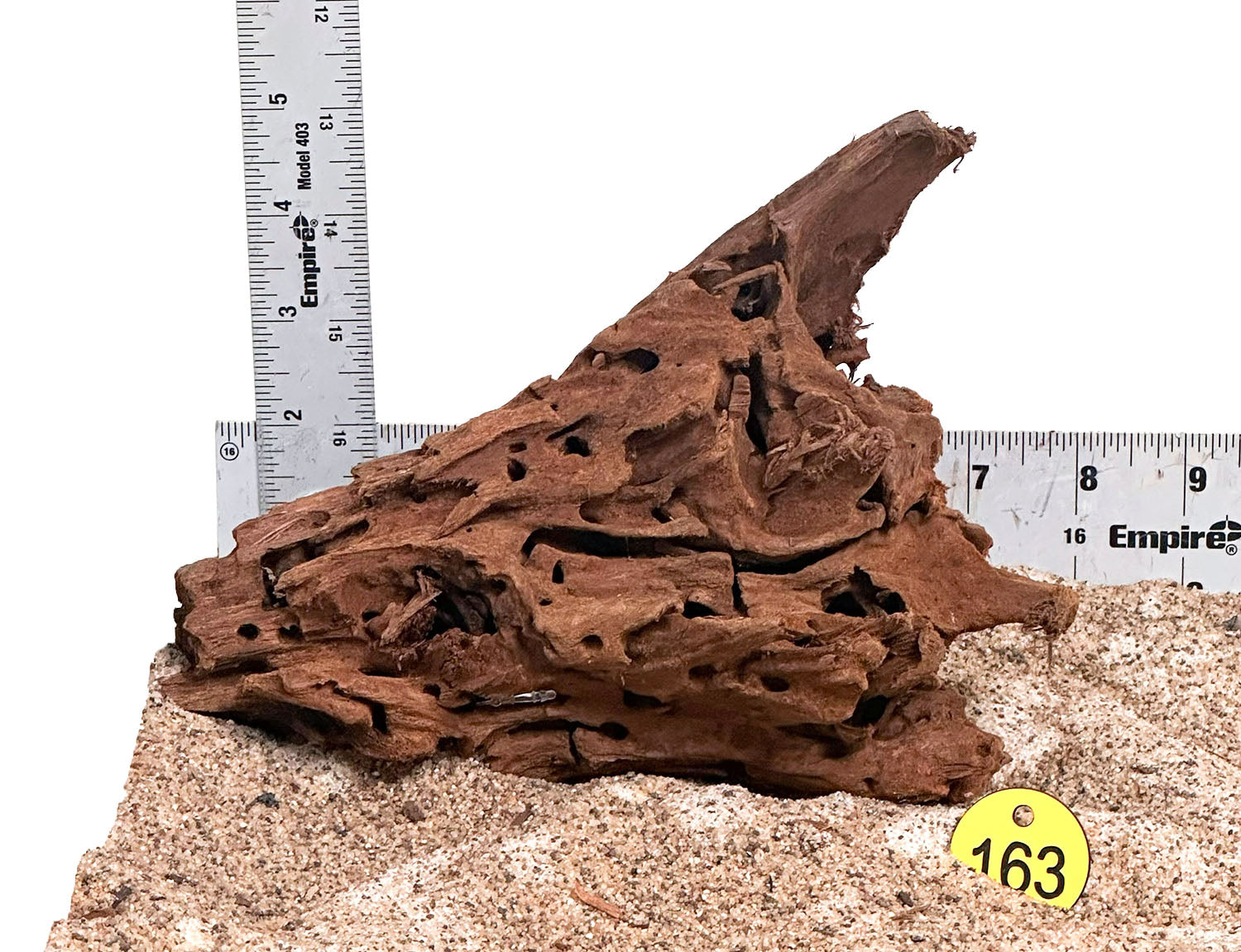 WYSIWYG 163Y - 260218 - Malaysian Mangrove Wood (Small)