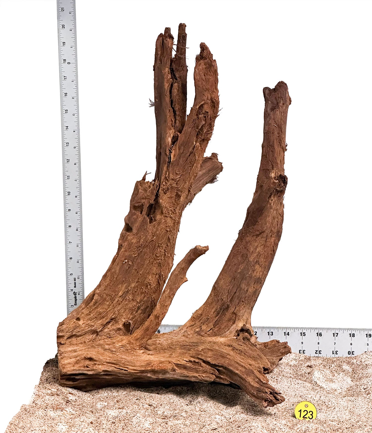 WYSIWYG 123Y - 260218 - Malaysian Mangrove Wood (XL)