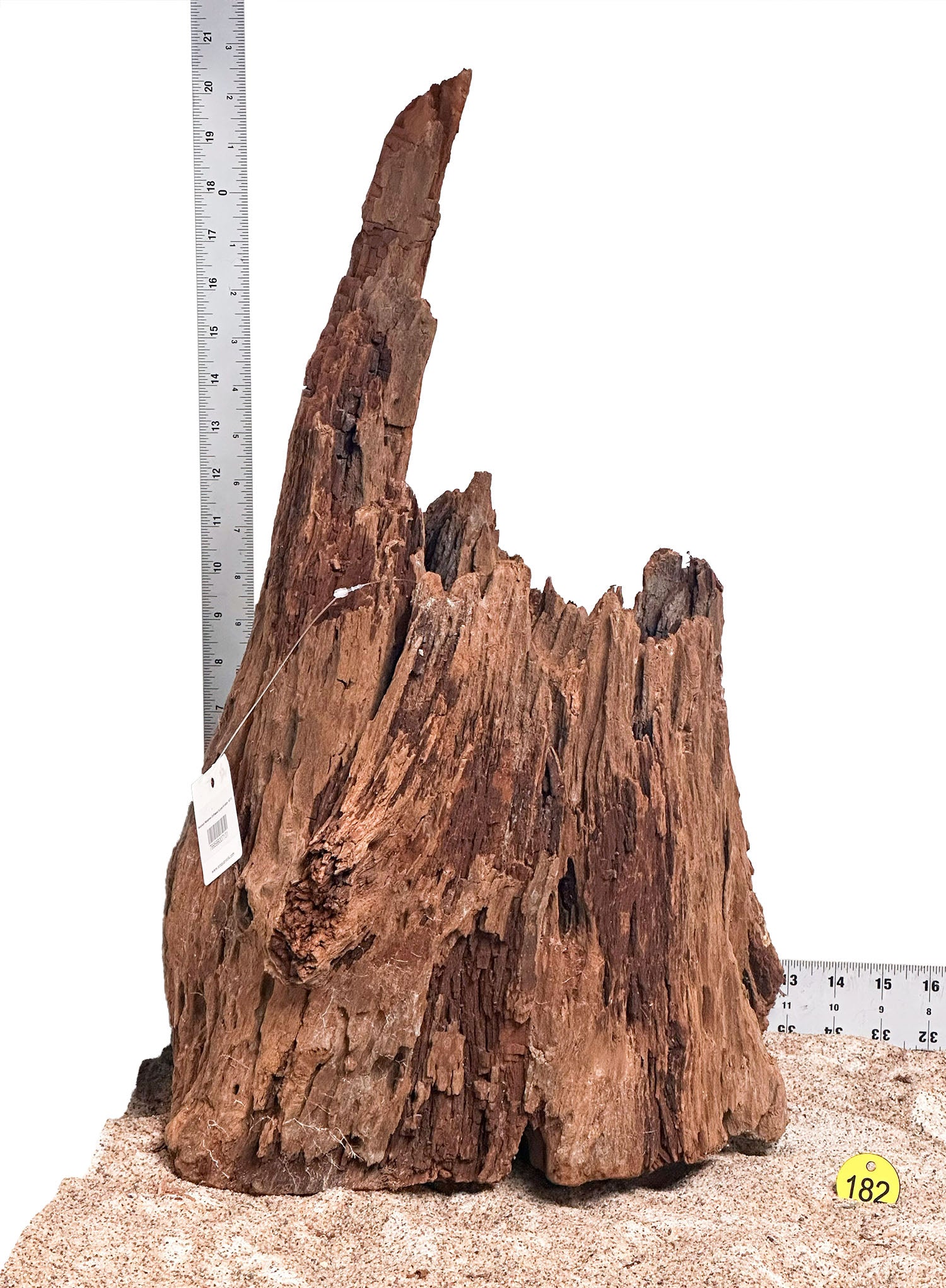 WYSIWYG 182Y - 260218 - Malaysian Mangrove Wood (XL)