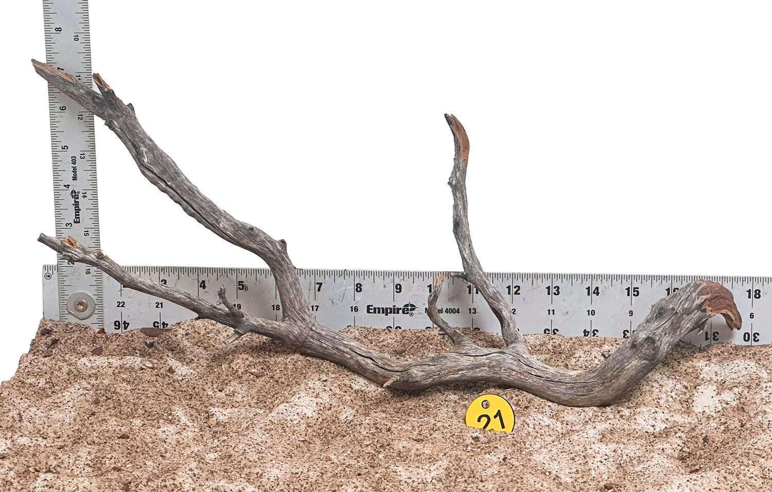 WYSIWYG 21Y - 260218 - Manzanita Wood (Medium)