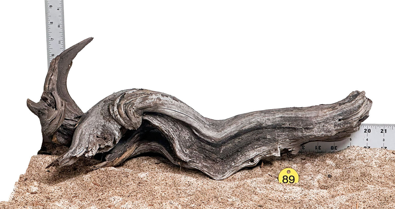 WYSIWYG 89Y - 260218 - Manzanita Wood (Large)