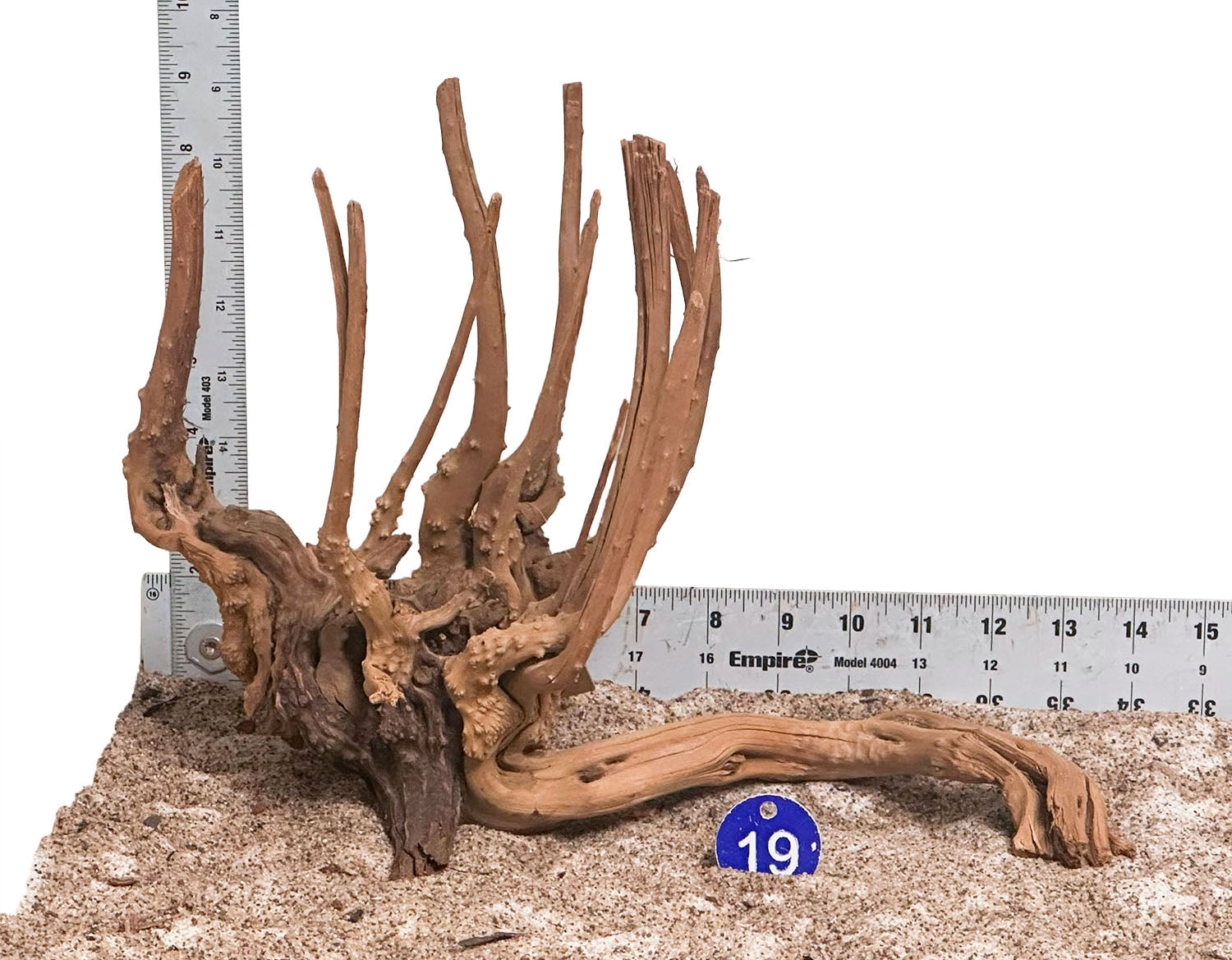 WYSIWYG 19BU - 260218 - Pine Spider Wood (Medium)