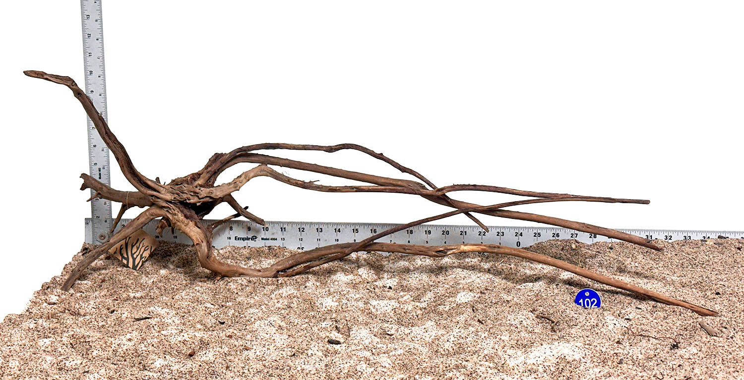 WYSIWYG 102BU - 260218 - Pine Spider Wood (XL)