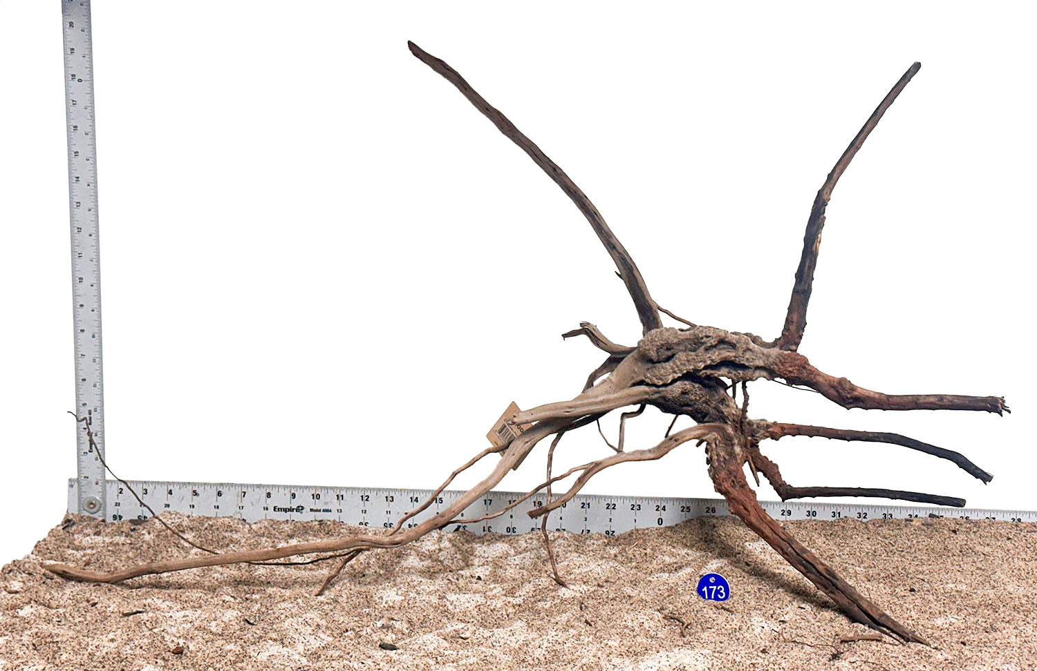 WYSIWYG 173BU - 260218 - Pine Spider Wood (XL)