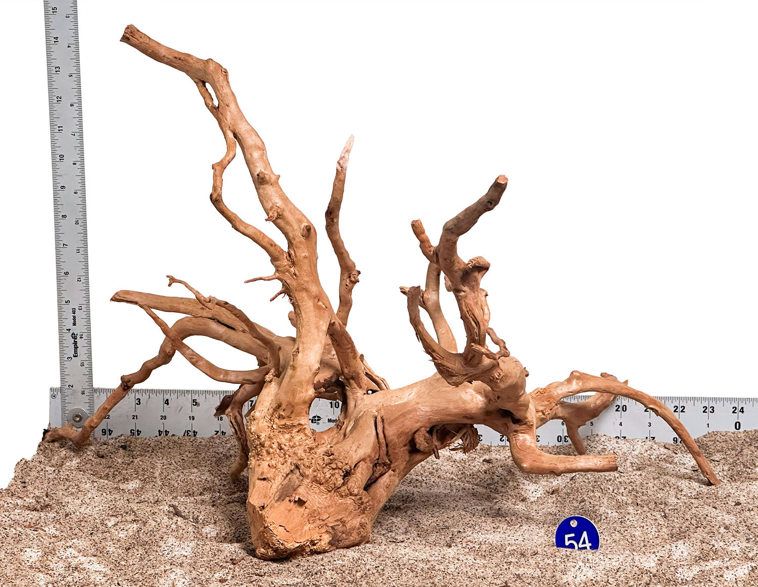 WYSIWYG 54BU - 260218 - Spider Wood (XL)