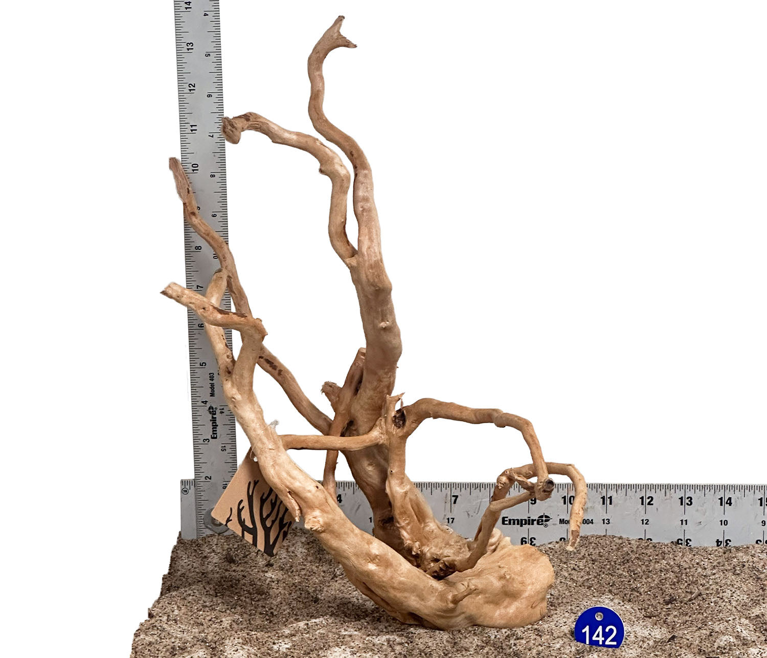WYSIWYG 142BU - 260703 - Spider Wood (Medium)