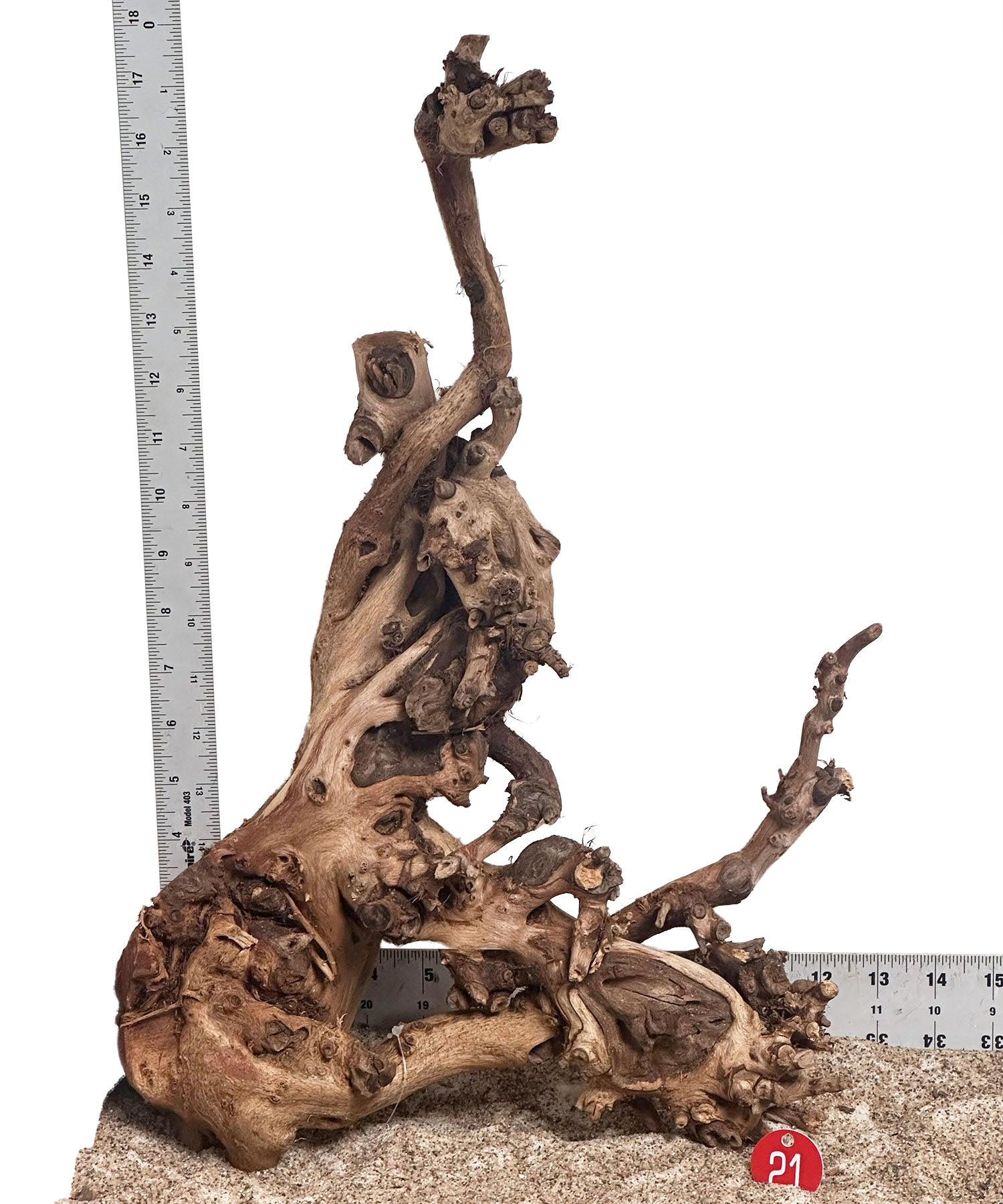 WYSIWYG 21RD - 260616 - Gnarly Wood (Large)