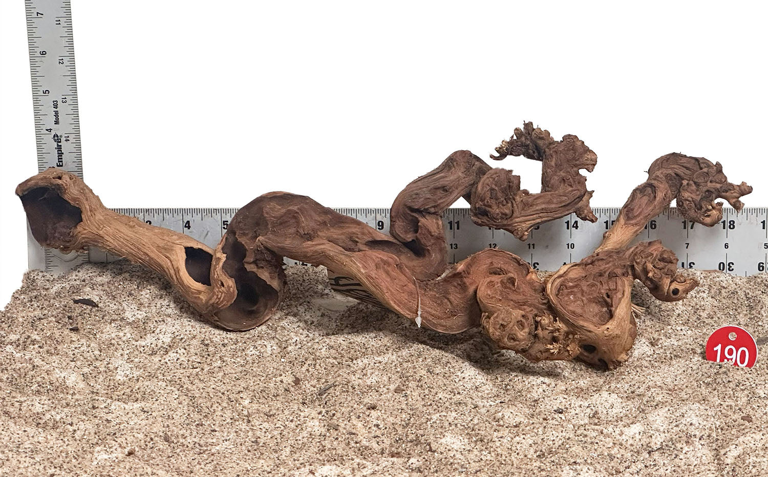 WYSIWYG 190RD - 260616 - Gnarly Wood (Large)