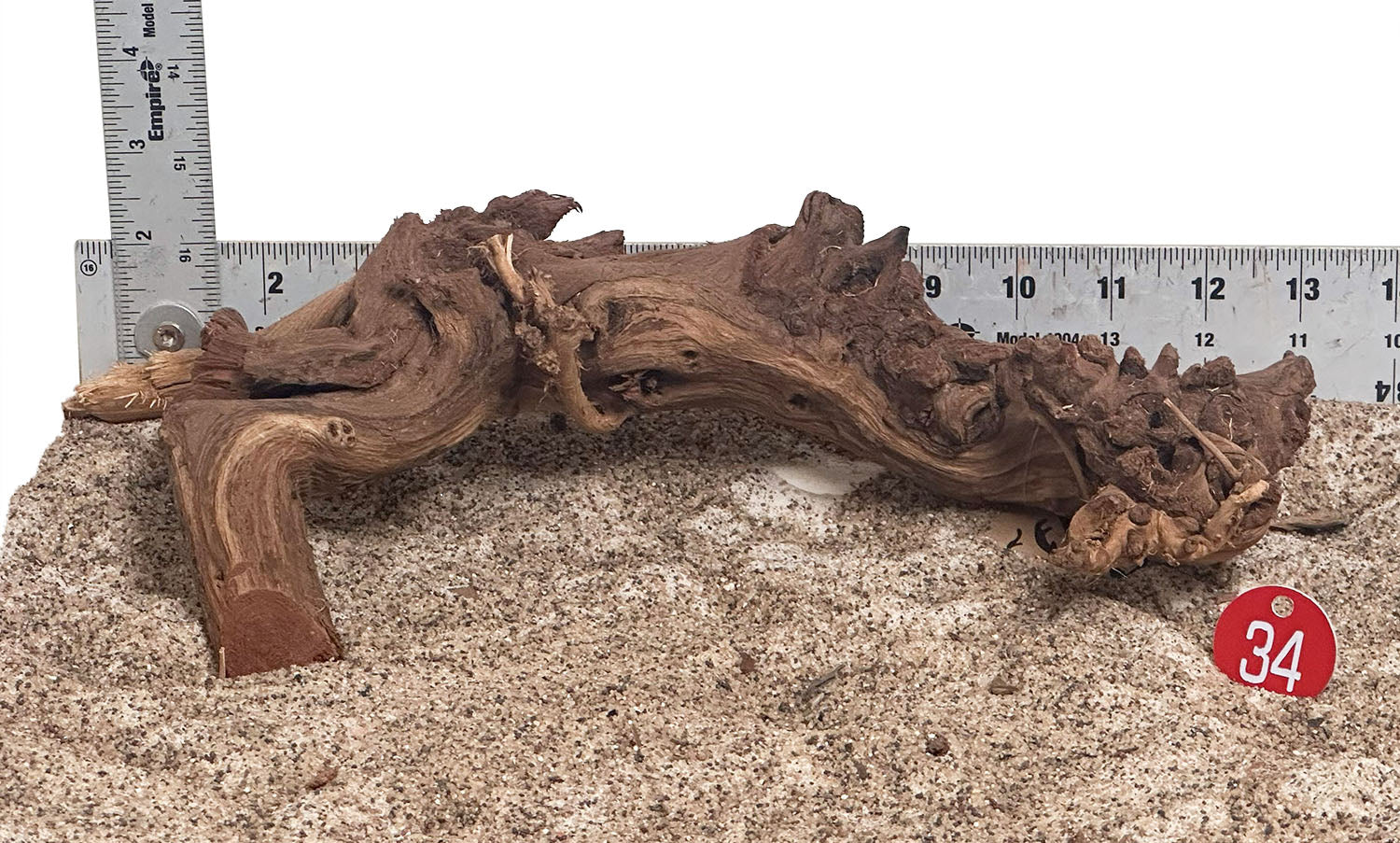 WYSIWYG 34RD - 260616 - Gnarly Wood (Small)