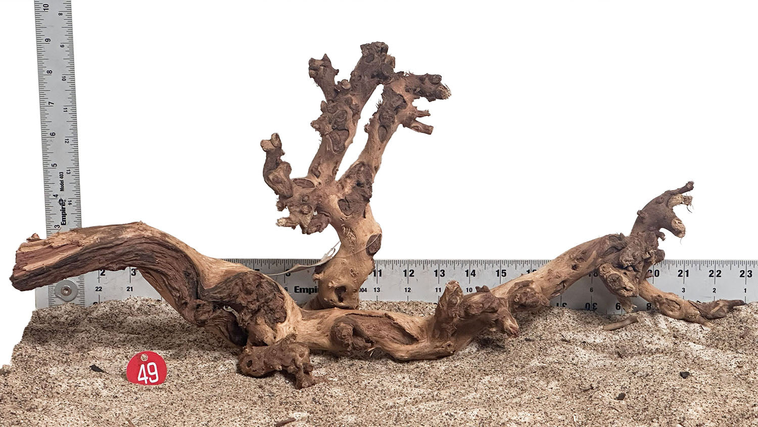 WYSIWYG 49RD - 260616 - Gnarly Wood (XL)
