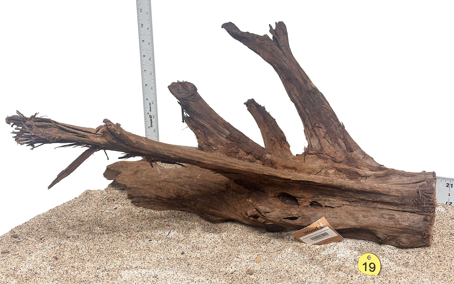 WYSIWYG 19Y - 260616 - Malaysian Mangrove Wood (XL)
