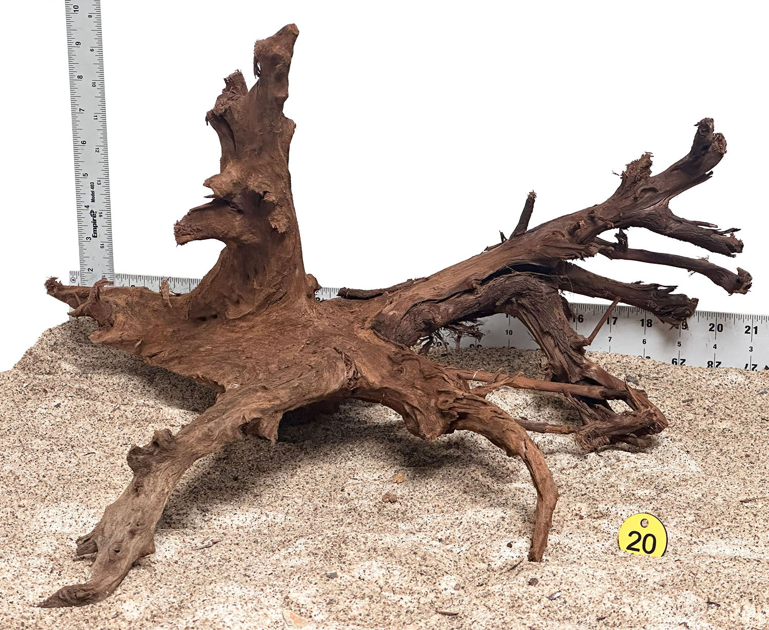 WYSIWYG 20Y - 260616 - Malaysian Mangrove Wood (XL)