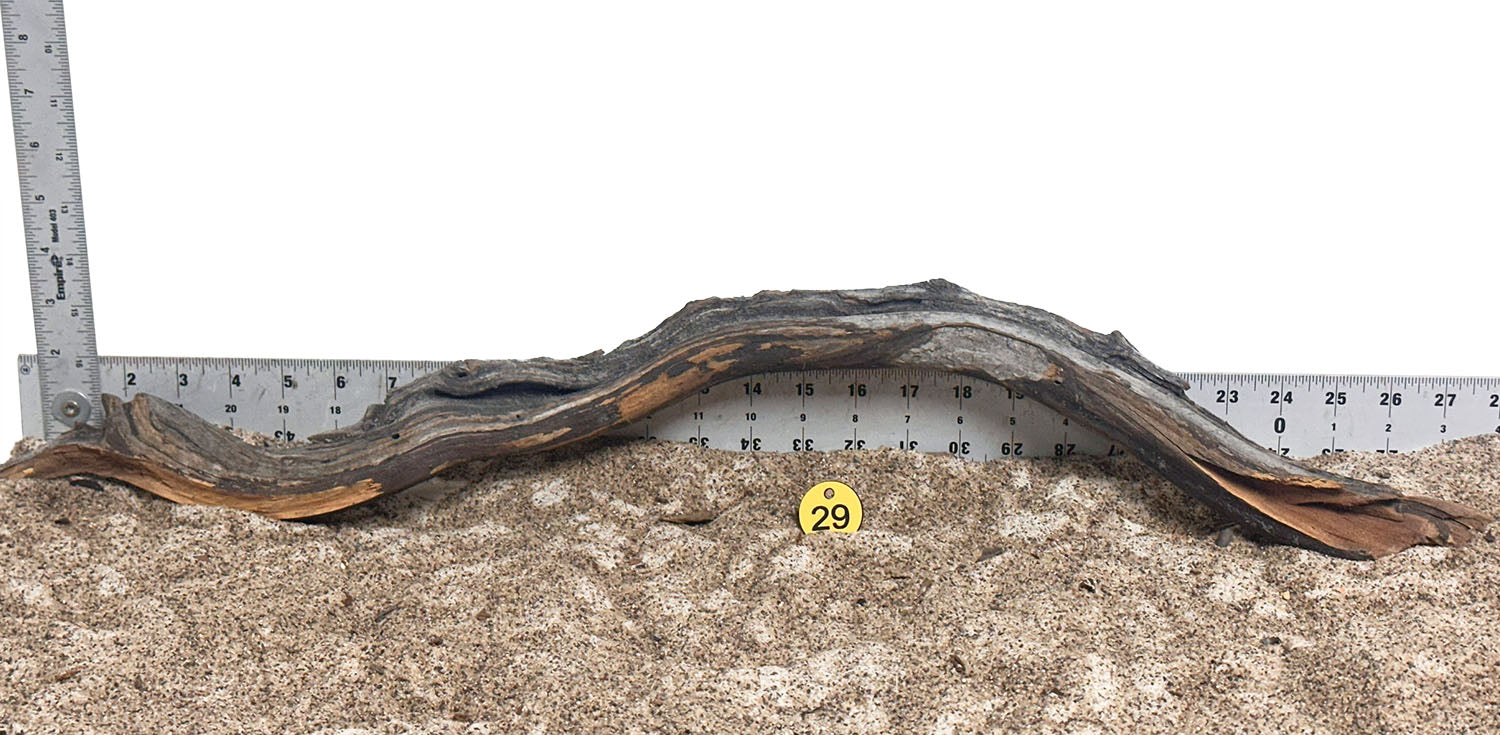 WYSIWYG 29Y - 260616 - Manzanita Wood (XL)