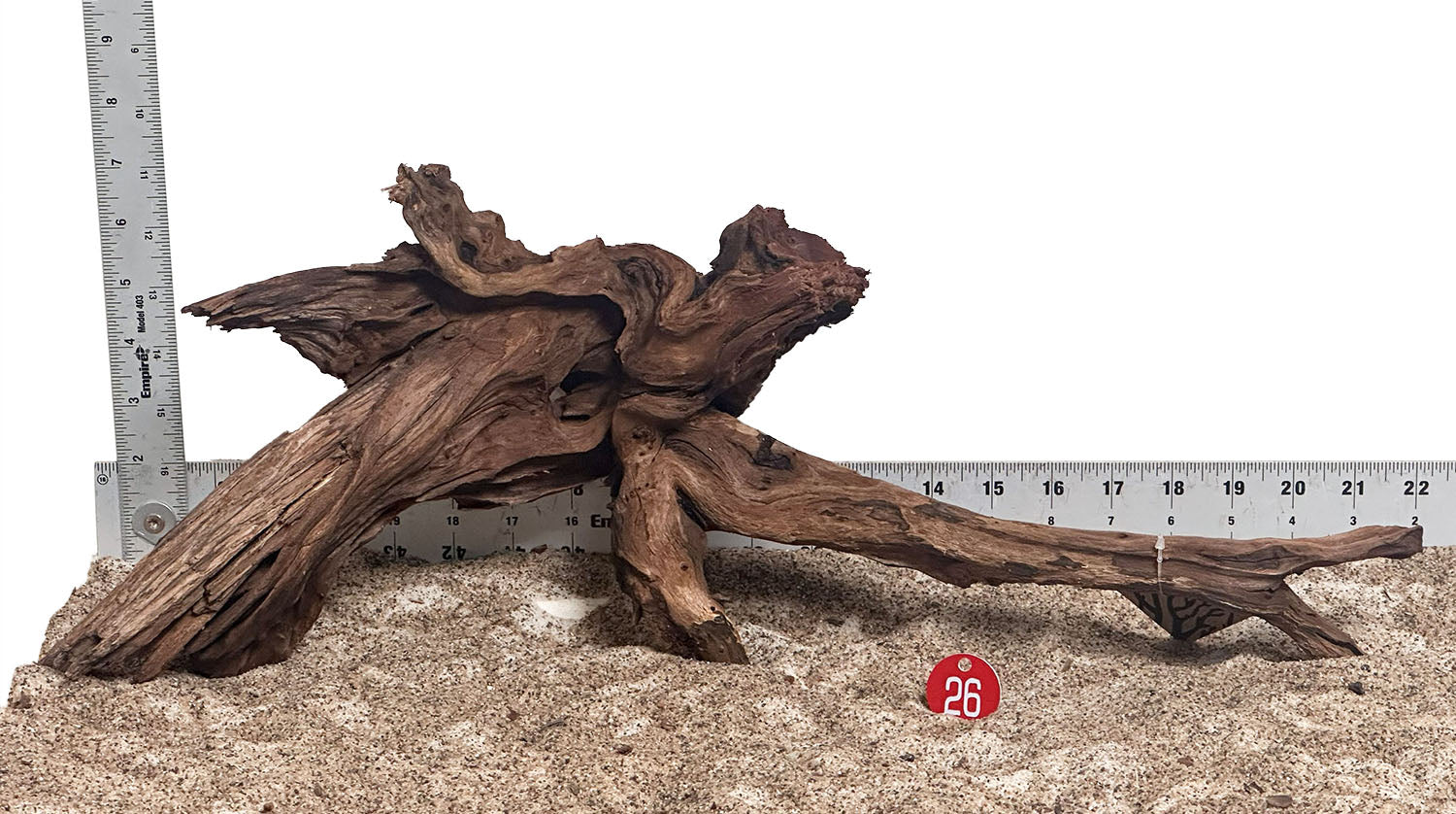 WYSIWYG 26RD - 260616 - Weathered Driftwood (Large)