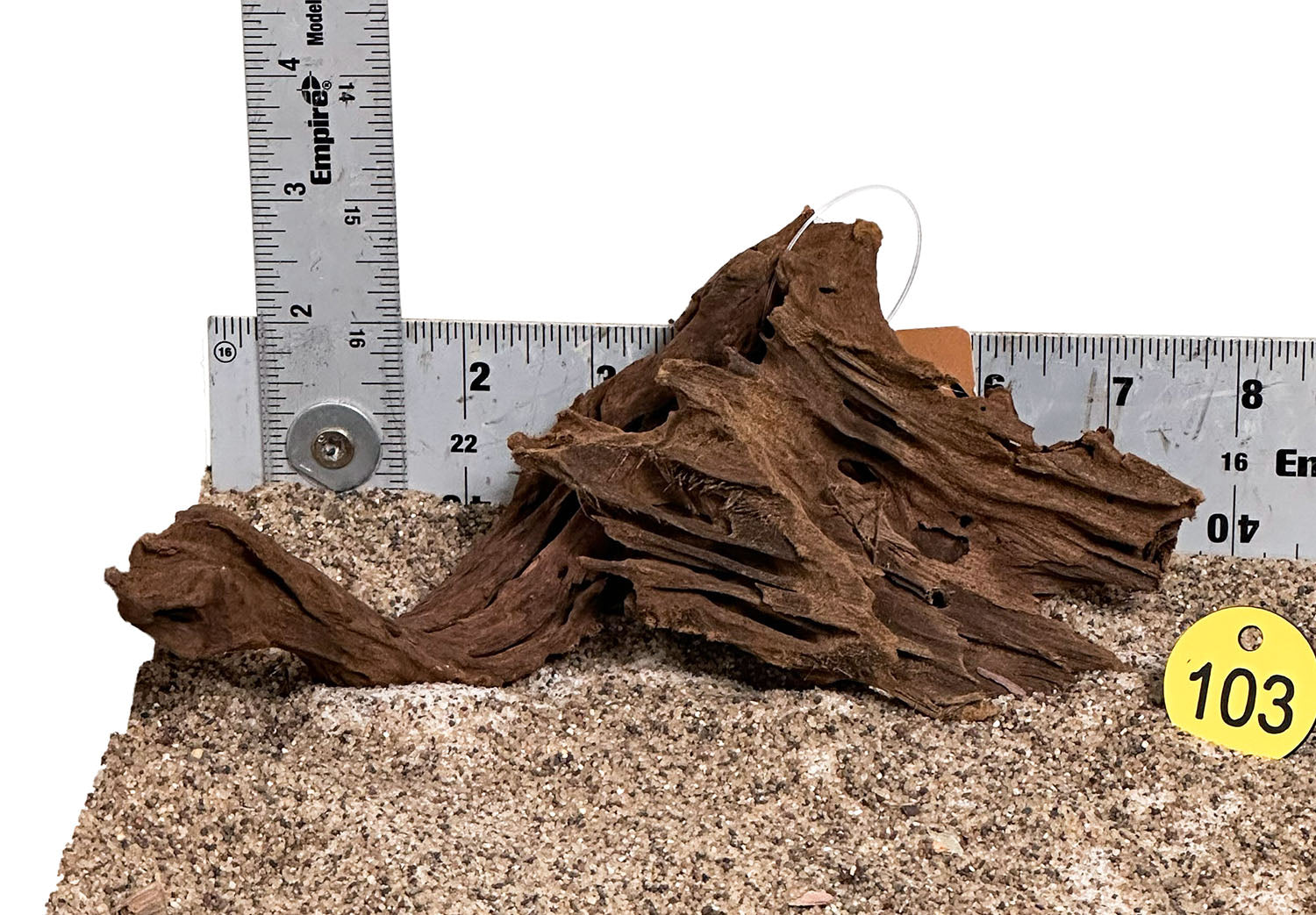 WYSIWYG 103Y - 260325 - Malaysian Mangrove Wood (MINI)