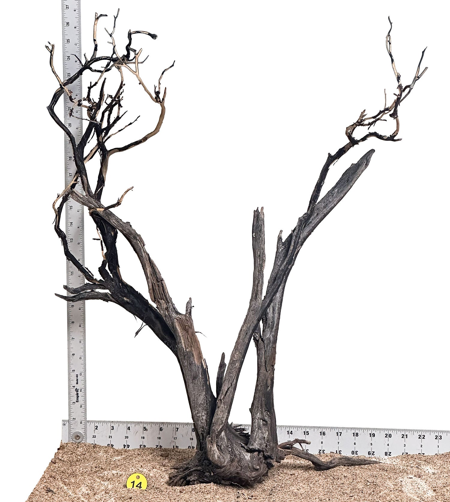 WYSIWYG 14Y - 260325 - Manzanita Wood (XL)
