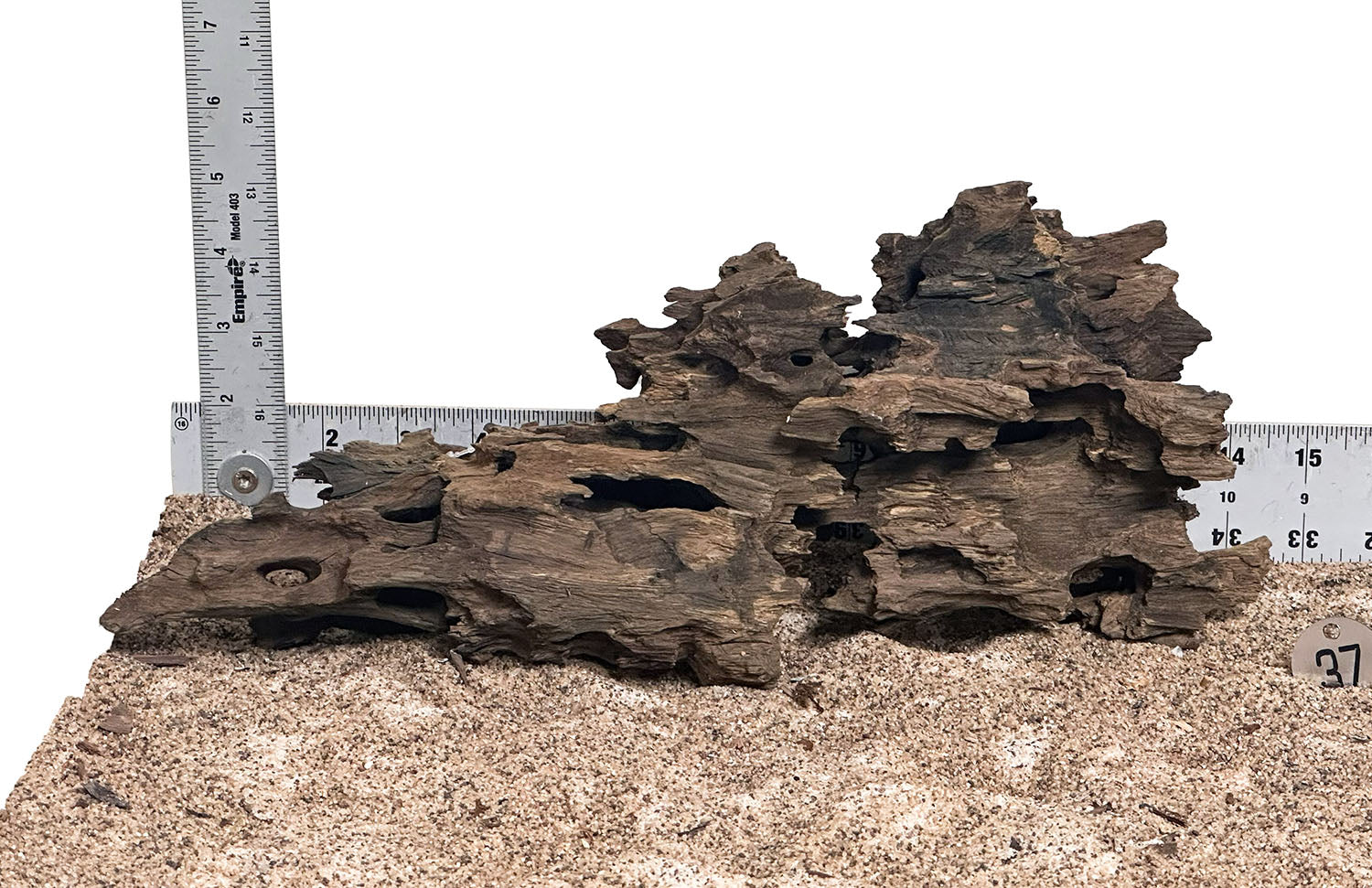 WYSIWYG 37S - 260325 - Ohko Wood (Medium)
